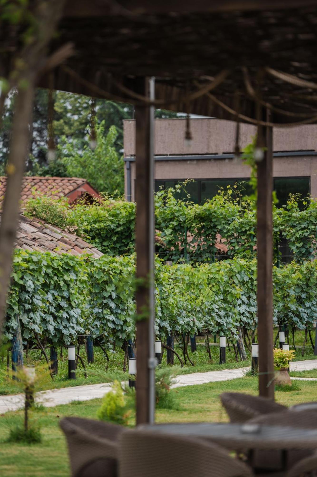 Vineyard Hotel & Winery Napareuli Zewnętrze zdjęcie